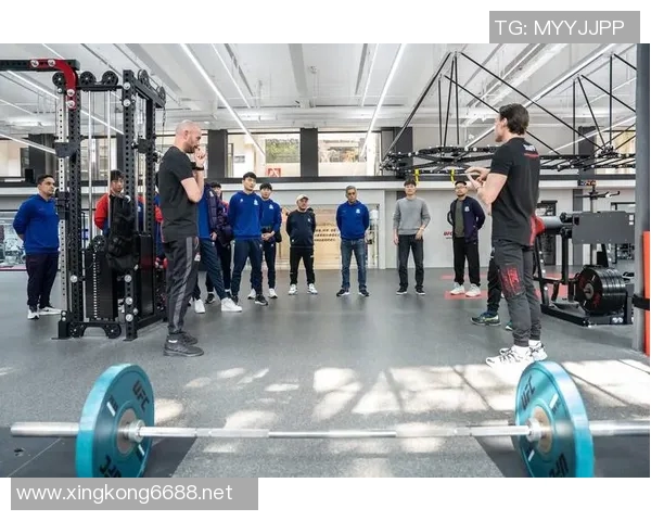 实时新闻上海极限运动队实力分析与表现评估的全面研究与探讨